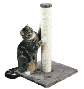 Hunde und Katzen - Hilfe Tipps und Tricks 3 Bildschirmfoto 2021 06 11 um 15.39.50