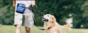 Hunde und Katzen - Hilfe Tipps und Tricks 2 Bildschirmfoto 2021 06 15 um 16.39.33